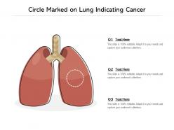 Circle marked on lung indicating cancer