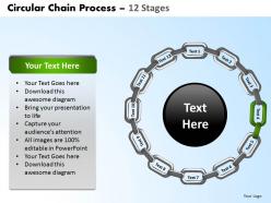 Circular chain flowchart process diagram 12 stages