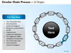 Circular chain flowchart process diagram 12 stages