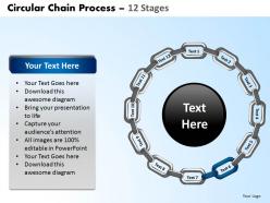 4761907 style variety 1 chains 12 piece powerpoint presentation diagram infographic slide