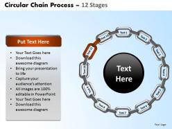 4761907 style variety 1 chains 12 piece powerpoint presentation diagram infographic slide