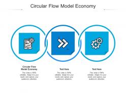 Circular flow model economy ppt powerpoint presentation layouts layout ideas cpb