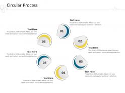 Circular Process Hospital Management Ppt Model Influencers
