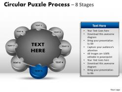 Circular puzzle diagram process 8 stages 5