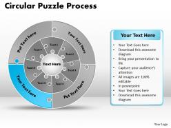 Circular puzzle flowchart process diagram 7