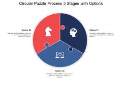 Circular puzzle process 03 stages with options