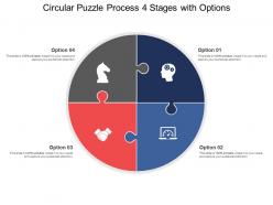 Circular puzzle process 04 stages with options