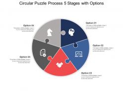 Circular puzzle process 05 stages with options