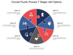 Circular Puzzle Process 07 Stages With Options