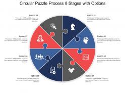 Circular puzzle process 08 stages with options