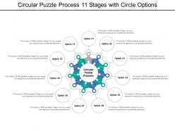 Circular puzzle process 11 stages with circle options