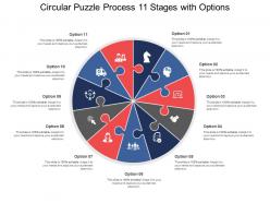 Circular puzzle process 11 stages with options