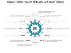 Circular puzzle process 12 stages with circle options