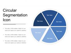 Circular Segmentation Icon