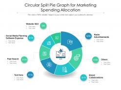 Circular split pie graph for marketing spending allocation