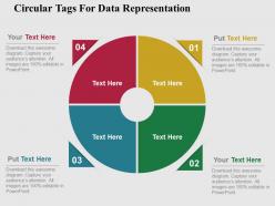 Circular tags for data representation flat powerpoint design