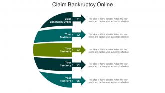 Claim bankruptcy online ppt powerpoint presentation layouts format ideas cpb