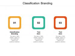 Classification branding ppt powerpoint presentation layouts graphics tutorials cpb