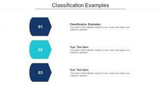 Classification Examples Ppt Powerpoint Presentation Icon Brochure Cpb