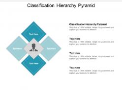 Classification hierarchy pyramid ppt powerpoint presentation icon designs download cpb