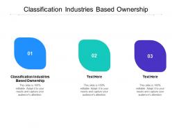 Classification industries based ownership ppt powerpoint presentation file deck cpb