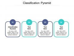 Classification pyramid ppt powerpoint presentation slides layout cpb
