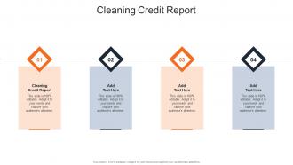 Cleaning Credit Report In Powerpoint And Google Slides Cpb