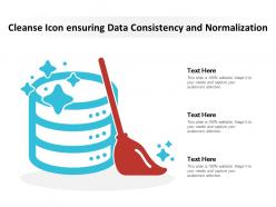 Cleanse icon ensuring data consistency and normalization
