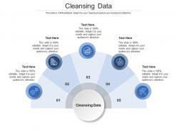 Cleansing data ppt powerpoint presentation outline cpb