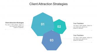 Client attraction strategies ppt powerpoint presentation professional inspiration cpb