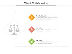 Client collaboration ppt powerpoint presentation infographics demonstration cpb