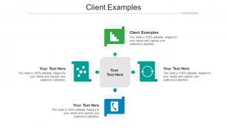 Client examples ppt powerpoint presentation inspiration layout cpb