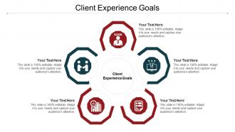 Client Experience Goals Ppt Powerpoint Presentation Outline Icon Cpb