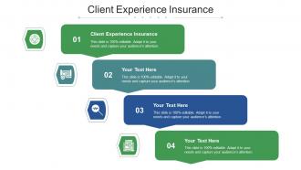 Client experience insurance ppt powerpoint presentation icon themes cpb