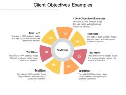 Client objectives examples ppt powerpoint presentation pictures ideas cpb