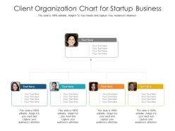 Client organization chart for startup business infographic template
