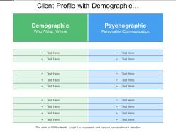 Client profile with demographic and psychographic segmentation