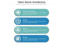 Client server architecture ppt powerpoint presentation visual aids diagrams cpb