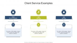 Client Service Examples In Powerpoint And Google Slides Cpb
