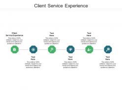Client service experience ppt powerpoint presentation styles brochure cpb