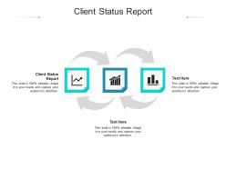 Client status report ppt powerpoint presentation infographic template backgrounds cpb