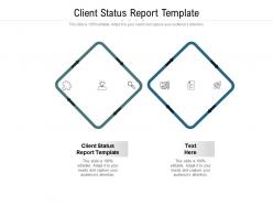 Client status report template ppt powerpoint presentation portfolio show cpb