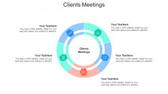 Clients meetings ppt powerpoint presentation summary portfolio cpb