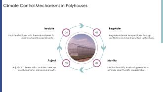 Climate Control Efficiency Greenhouse Vs Polyhouse PPT Mockup AT Designed Appealing