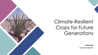 Climate Resilient Crops For Future Generations PPT Sample AT