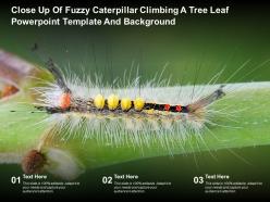 Close up of fuzzy caterpillar climbing a tree leaf powerpoint template and background