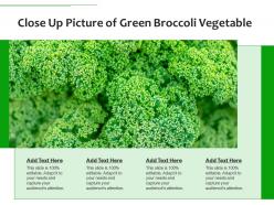 Close up picture of green broccoli vegetable