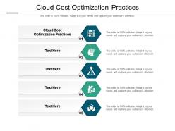 Cloud cost optimization practices ppt powerpoint presentation professional samples cpb