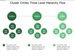 Cluster Circles Three Level Hierarchy Flow