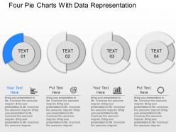 Cn four pie charts with data representation powerpoint template